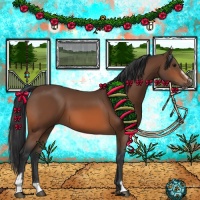 Horse Color:Bay Sabino