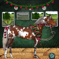 Horse Color:White Spotted Silver Bay 