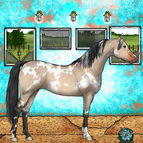 Horse Color:White Spotted Bay Roan Dun 