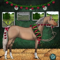 Horse Color:Silver Brown Roan Dun 