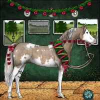 Horse Color:White Spotted Chocolate Palomino Roan Splash 