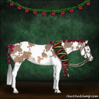Horse Color:White Spotted Bay Dun Sabino Splash 