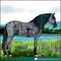 Horse Color:ERROR: UNKNOWN ANOMALY