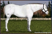 Horse Color:Plaid  Red Dun Ice Roan Tobiano 
