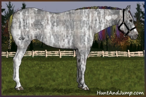 Horse Color:Painted Plaid  Black Ice 
