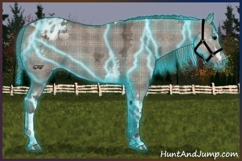 Horse Color:Thunderstruck Plaid White Spotted Grullo Ice Appaloosa