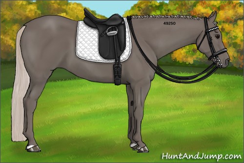 Horse Color:Silver Black