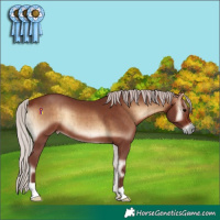 Horse Color:Chocolate Silver Brown Onyx Brindle 