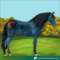 Horse Color:ERROR: UNKNOWN ANOMALY