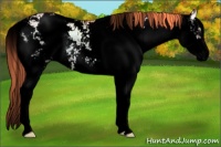 Horse Color:Void Watercolor Liver Red Dun Ice Onyx Sabino Splash 