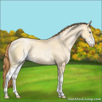 Horse Color:Smoky Grullo Pearl Sabino 