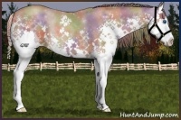 Horse Color:Nacre Black Pearl Splash 
