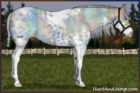 Horse Color:Nacre Silver Smoky Grullo Splash Tobiano 