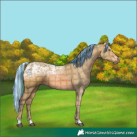 Horse Color:Painted Plaid  Silver Bay Ice 