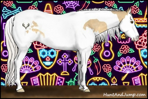 Horse Color:Silver Buckskin Dun Splash Tobiano Rabicano
