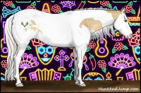 Horse Color:Silver Buckskin Dun Splash Tobiano Rabicano 