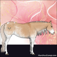 Horse Color:White Spotted Silver Bay Dun Tobiano Appaloosa Rabicano 