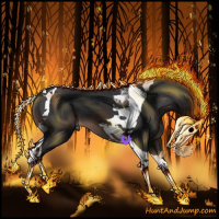 Horse Color:Brown Tobiano 