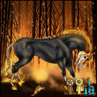 Horse Color:Blue Roan 