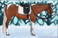 Horse Color:Silver Brown Splash Tobiano 