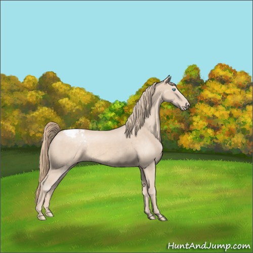 Horse Color:Perlino Snowcap