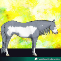 Horse Color:Watercolor Black Frame