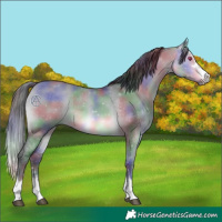 Horse Color:Nacre Brown Chinchilla Dun Mushroom 