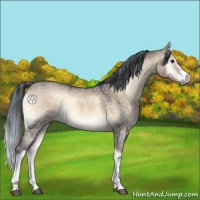 Horse Color:Painted Brown Ice Onyx 