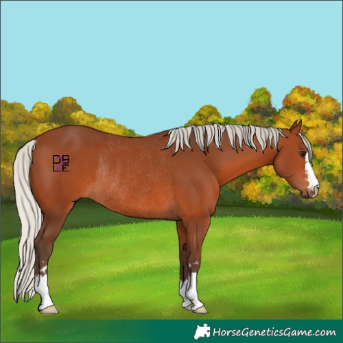 Horse Color:Silver Brown Rabicano 