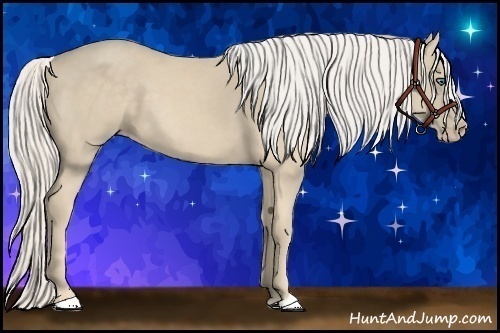 Horse Color:Cremello 