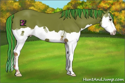 Horse Color:Painted Watercolor Liver Chestnut Splash 