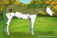 Horse Color:Painted Watercolor Liver Chestnut Splash 