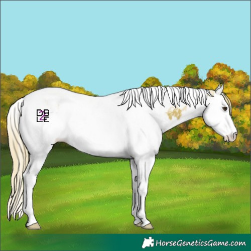 Horse Color:Watercolor Chestnut Splash Tobiano 