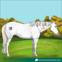 Horse Color:Watercolor Chestnut Splash Tobiano 