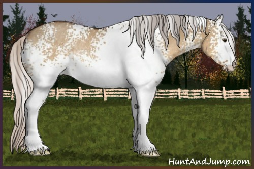 Horse Color:White Spotted Silver Buckskin Dun Rabicano 