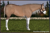 Horse Color:Silver Brown Dun Sabino 