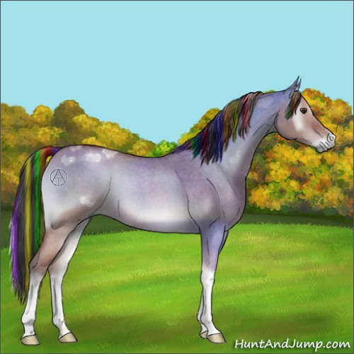 Horse Color:Painted Brown Roan Onyx 