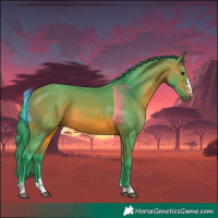 Horse Color:Watercolor Bay 