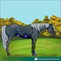 Horse Color:ERROR: UNKNOWN ANOMALY