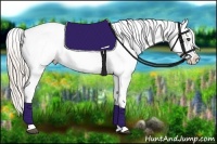 Horse Color:Silver Grullo Roan Appaloosa 