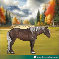 Horse Color:White Spotted Silver Brown Tobiano 