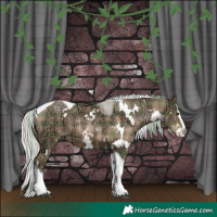 Horse Color:Plaid  White Spotted Silver Black Ice Pearl Splash Tobiano 