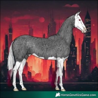 Horse Color:Silver Black Chinchilla Ice Splash 