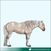 Horse Color:White Spotted Silver Bay Ice Dun Tobiano 