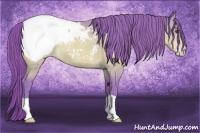 Horse Color:Watercolor Sable Champagne Chinchilla Appaloosa 