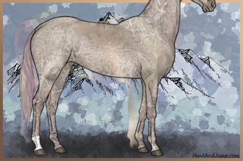 Horse Color:Silver Grullo Ice 
