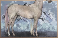 Horse Color:Silver Grullo Ice 