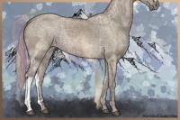 Horse Color:Silver Grullo Ice