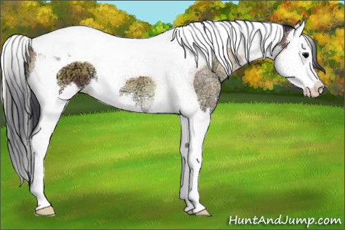 Horse Color:Brown Ice Onyx Splash Tobiano 