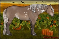 Horse Color:White Spotted Silver Brown Dun
